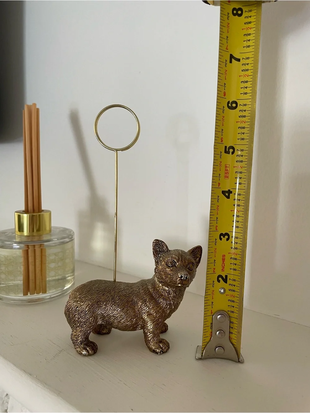 Anthropologie cute corgi